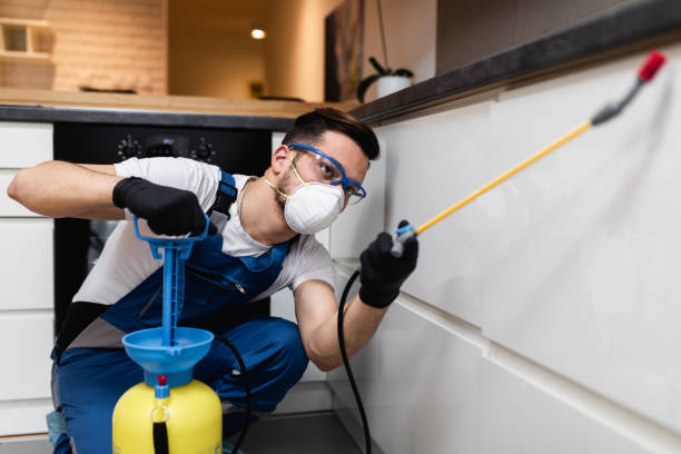 Best Local Pest Control Services  in Neptune Beach, FL