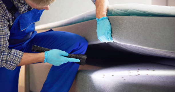 Best Commercial Pest Control Services  in Neptune Beach, FL