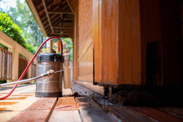Pest Control for Restaurants in Neptune Beach, FL