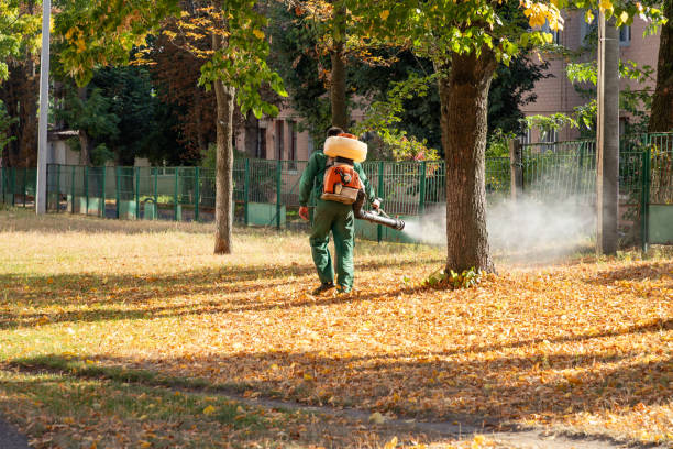 Best Affordable Pest Control Services  in Neptune Beach, FL